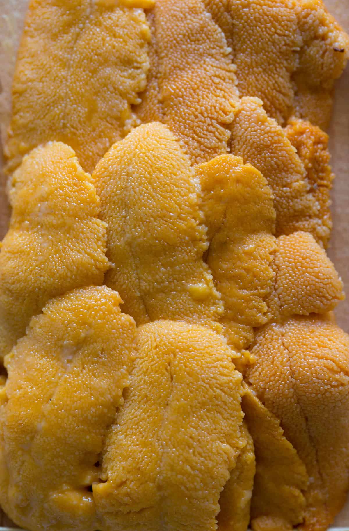 uni