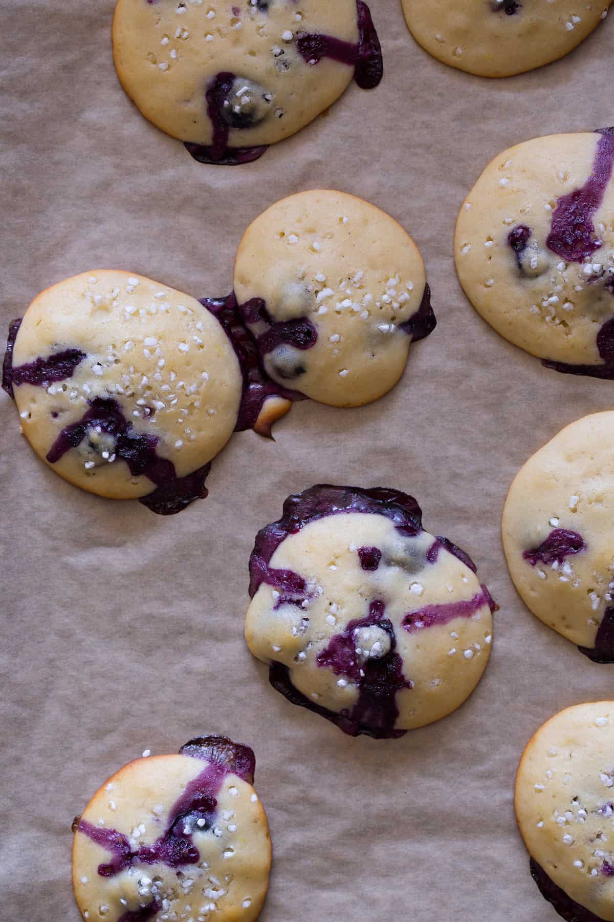 Blueberry Yogurt Cookies | Healthy Cookie Recipe | Spoon Fork Bacon