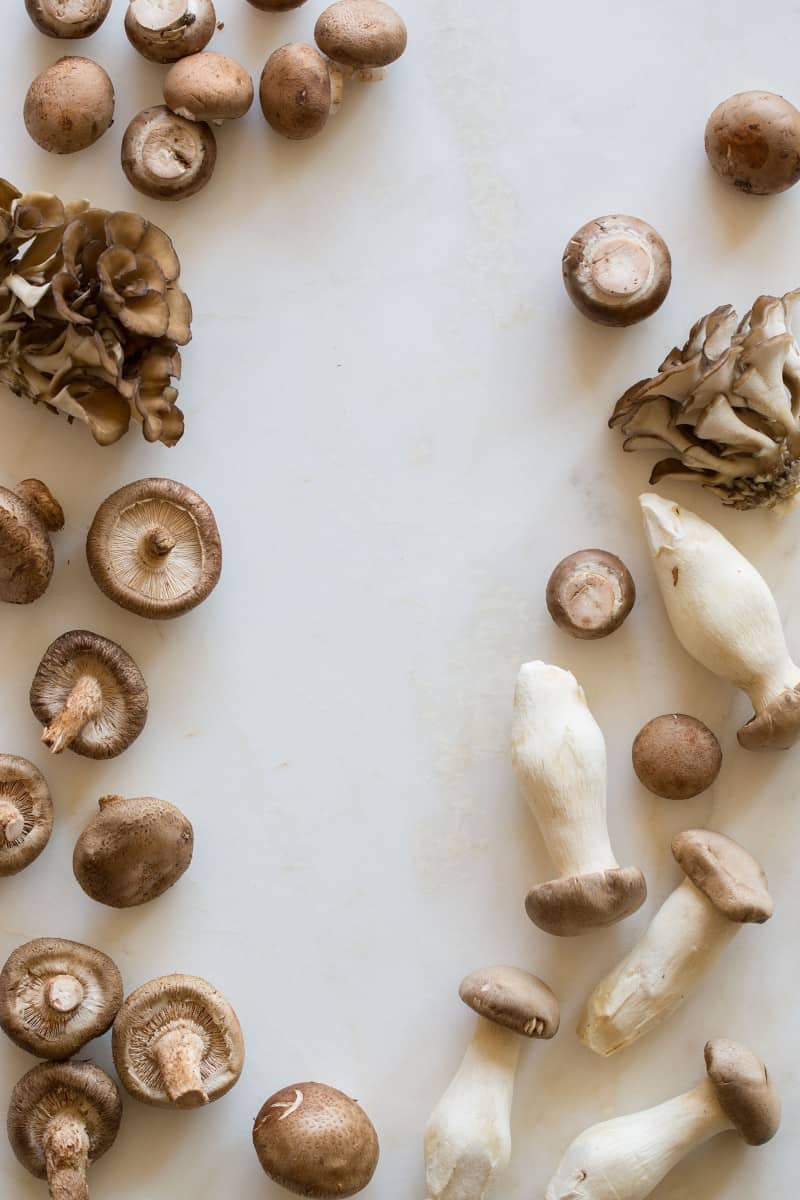 A recipe for Mezzi Rigatoni with a Wild Mushroom Cream Sauce.