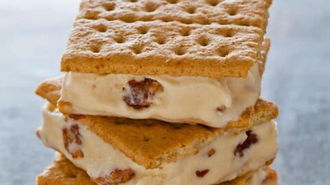 Holiday Ice Cream Sandwich Molds Are Always in Season