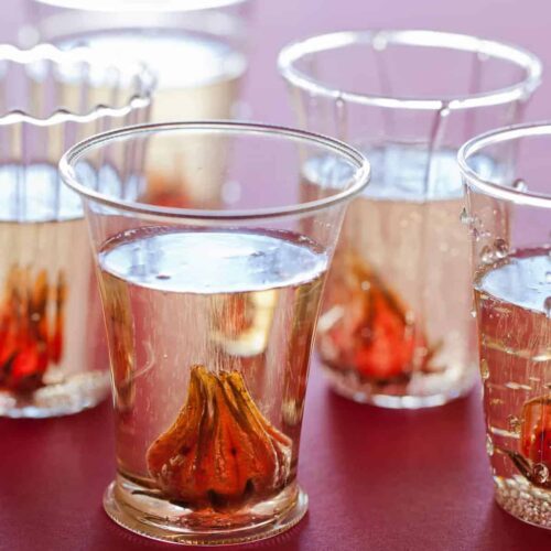 https://www.spoonforkbacon.com/wp-content/uploads/2012/04/hibiscus-ginger-champagne-cocktail-recipe-1-500x500.jpg