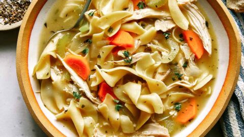 Homemade Chicken Noodle Soup Recipe - The Forked Spoon