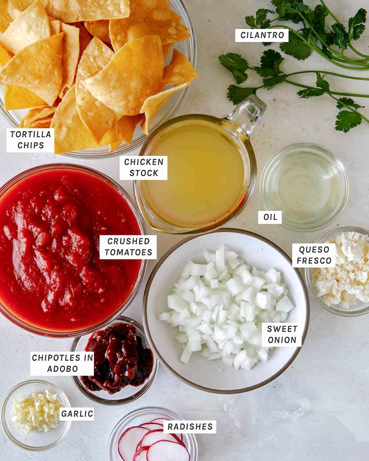 Ingredients for everything you'll need to make chilaquiles