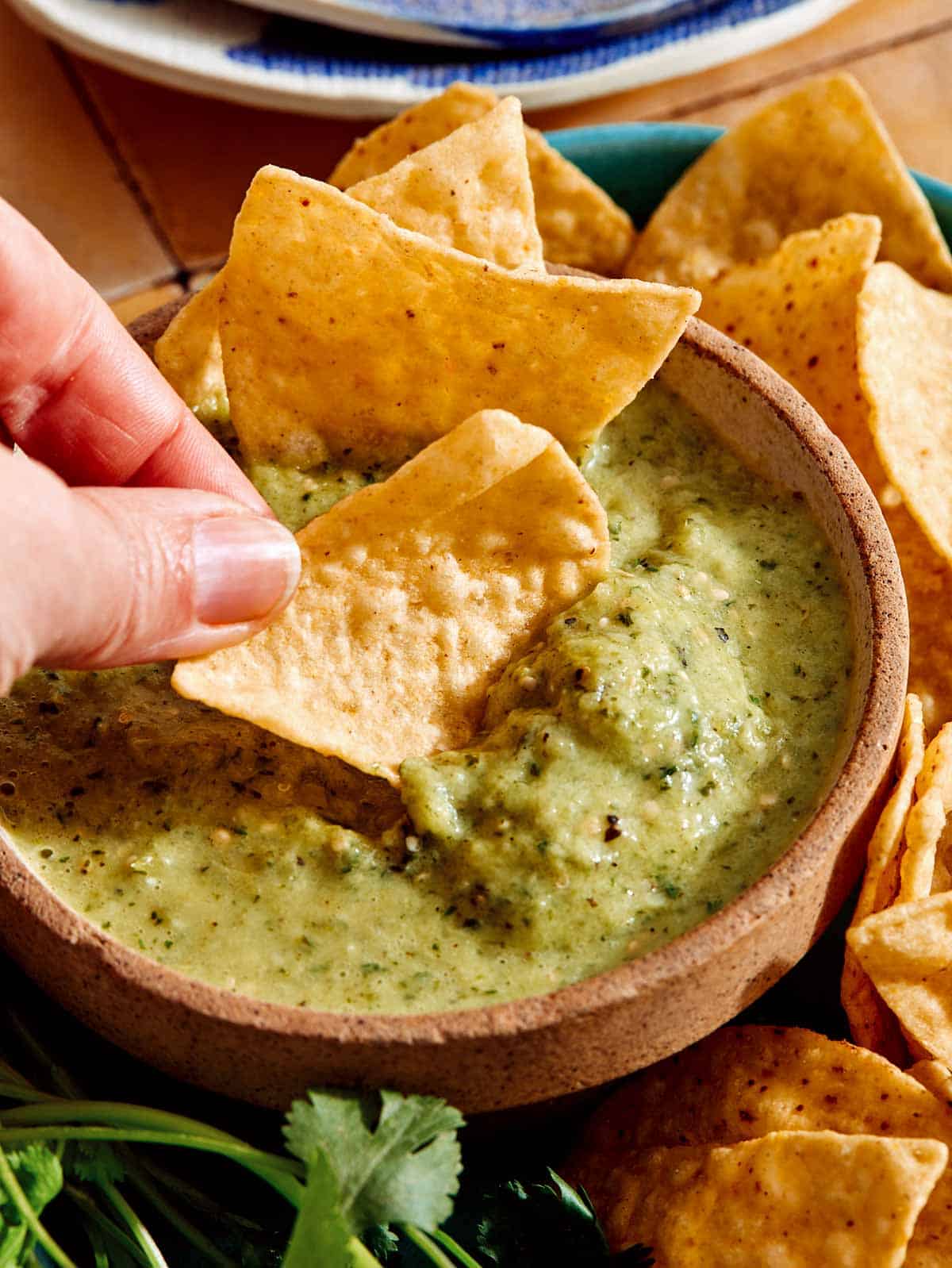 A hand with a chip dipping it in salsa.